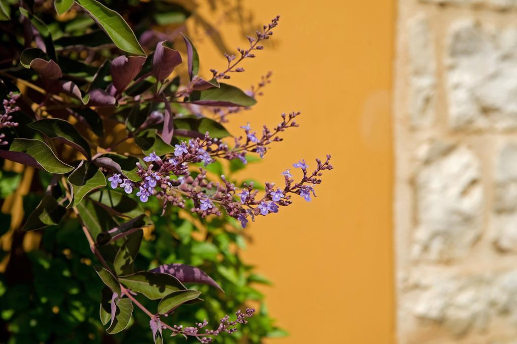 Enastron Villas Κυπαρισσία Εξωτερικό φωτογραφία